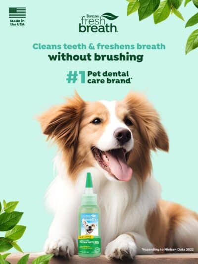 TropiClean Clean Teeth Gel for Dogs | Dog Dental Care | Dog Toothpaste | Breath Freshener | Easy Teeth Cleaning | Made in The USA | 2 oz. - Image 2