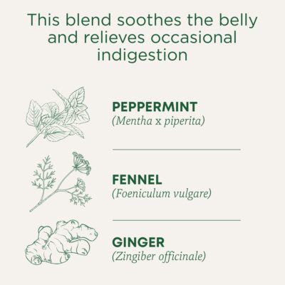 Traditional Medicinals Organic Belly Comfort Peppermint Herbal Tea, Promotes Healthy Digestion, (Pack of 1) - 16 Tea Bags - Image 2