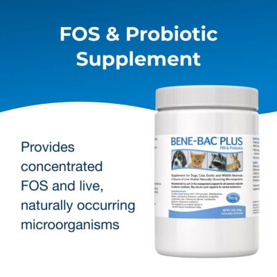 Pet-Ag Bene-Bac Plus - 1 lb Powder - FOS & Probiotics for Dogs, Cats, Exotic & Wildlife Mammals - Image 2