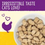 Stella & Chewy's Freeze-Dried Raw Chick, Chick, Chicken Dinner Morsels Cat Food, 18 oz. Bag, Freeze-Dried Raw Cat Dinner Morsels - Image 2