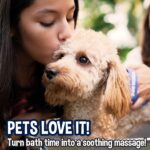 Bodhi Dog Shampoo Brush | Pet Shower & Bath Supplies for Cats & Dogs | Dog Bath Brush for Dog Grooming | Long & Short Hair Dog Scrubber for Bath | Professional Quality Dog Wash Brush (One Pack, Blue) - Image 6