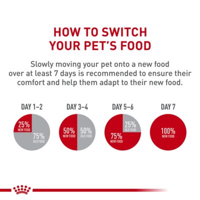 Royal Canin Feline Health Nutrition Kitten Thin Slices in Gravy Canned Cat Food, 3 oz can (24-count) - Image 7