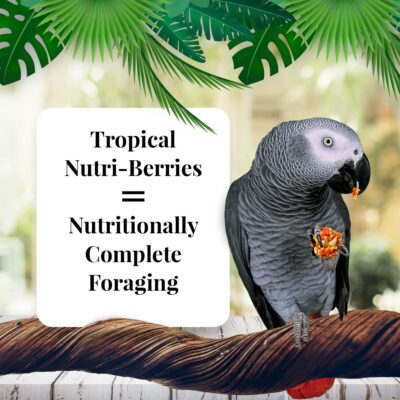 LAFEBER'S Tropical Fruit Nutri-Berries Pet Bird Food, Made with Non-GMO and Human-Grade Ingredients, for Parrots, 3 lb - Image 2
