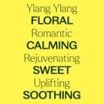 Plant Therapy Ylang Ylang Complete Essential Oil 100% Pure, Undiluted, Natural Aromatherapy, Therapeutic Grade 10 mL (1/3 oz) - Image 4