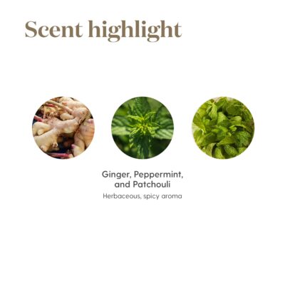 Young Living DiGize Essential Oil Blend | 15ml | 100% Pure & Natural Blend of Essential Oils for Digestion Support and Gut Health, Soothing Aromatic and Topical Blend for Wellness - Image 5
