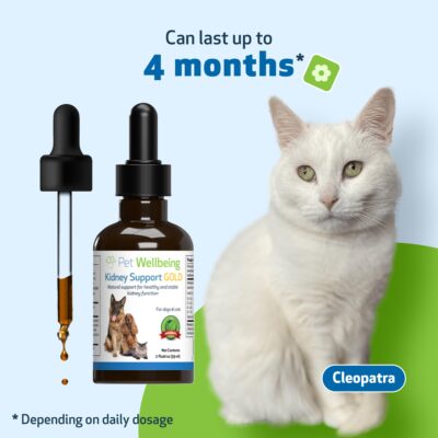 Pet Wellbeing Kidney Support Gold for Cats - Vet-Formulated - Supports Healthy Kidney Function in Cats - Natural Herbal Supplement 2 oz (59 ml) - Image 7