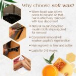GiGi Dark Honee Hair Removal Soft Wax, Thick to Coarse Hairs, Normal to Dry Skin, Men and Women, 14 oz. - Image 6