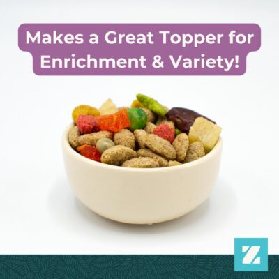 ZuPreem Pure Fun Bird Food for Parrots & Conures, 2 lb - Blend of Fruit, FruitBlend Pellets, Vegetables, Nuts for African Greys, Senegals, Amazons, Eclectus, Small Cockatoos - Image 7