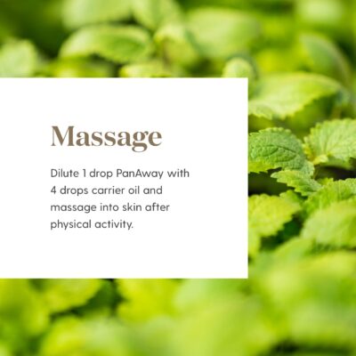 Young Living PanAway 5ml - Soothing Essential Oil Blend of Clove, Helichrysum, Peppermint, and Wintergreen for Natural Relief of Aches and Discomfort - Image 3