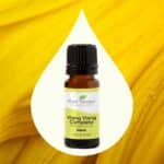 Plant Therapy Ylang Ylang Complete Essential Oil 100% Pure, Undiluted, Natural Aromatherapy, Therapeutic Grade 10 mL (1/3 oz) - Image 3