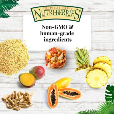 LAFEBER'S Tropical Fruit Nutri-Berries Pet Bird Food, Made with Non-GMO and Human-Grade Ingredients, for Parrots, 3 lb - Image 4