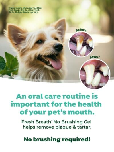 TropiClean Clean Teeth Gel for Dogs | Dog Dental Care | Dog Toothpaste | Breath Freshener | Easy Teeth Cleaning | Made in The USA | 2 oz. - Image 5