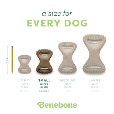 Benebone Dental Durable Dog Chew Toy for Aggressive Chewers, Real Peanut, Made in USA, Small - Image 4