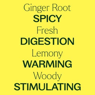 Plant Therapy Ginger Root CO2 Essential Oil 100% Pure, Undiluted, Natural Aromatherapy, Ginger Oil for Diffuser, Skin & Massage and Hair, Therapeutic Grade 10 mL (1/3 oz) - Image 4