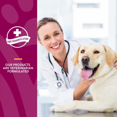 NaturVet ArthriSoothe Hip & Joint Formula Pet Supplement for Dogs & Cats ? Includes Glucosamine, MSM, Chondroitin, Boswellia, Green Lipped Mussel ? Supports HIPS, Joints ? 500 Ct. - Image 6