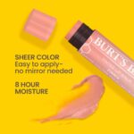 Burt's Bees Lip Tint Balm with Long Lasting 2 in 1 Duo Tinted Balm Formula, Color Infused with Deeply Hydrating Shea Butter for a Natural Looking Buildable Finish, Raspberry Zinnia (2-Pack) - Image 2