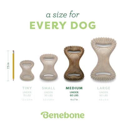 Benebone Dental Durable Dog Chew Toy for Aggressive Chewers, Real Peanut, Made in USA, Medium - Image 4