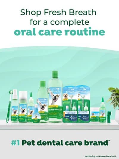 TropiClean Clean Teeth Gel for Dogs | Dog Dental Care | Dog Toothpaste | Breath Freshener | Easy Teeth Cleaning | Made in The USA | 2 oz. - Image 6