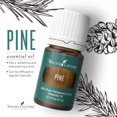 Young Living Pine Essential Oil 15ml - Image 4