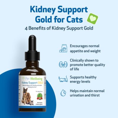 Pet Wellbeing Kidney Support Gold for Cats - Vet-Formulated - Supports Healthy Kidney Function in Cats - Natural Herbal Supplement 2 oz (59 ml) - Image 3