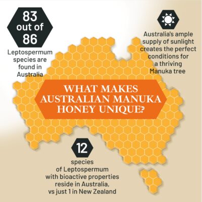 Manuka Honey MGO 850+ / UMF 20+ High Strength Manuka Honey Medical Grade - Non GMO - Raw Manuka Honey - Manuka Honey Organic - AMHA Certified Honey Manuka - 250g by Good Natured - Image 6