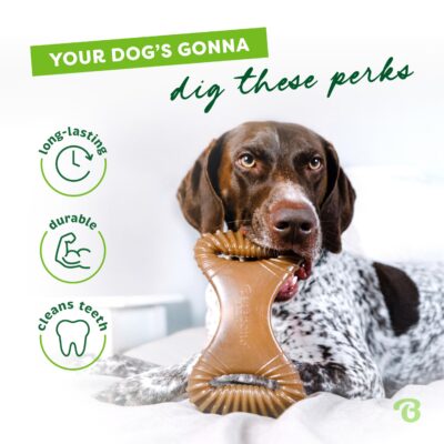 Benebone Dental Durable Dog Chew Toy for Aggressive Chewers, Real Peanut, Made in USA, Medium - Image 3