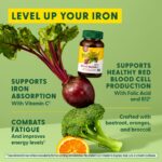 MegaFood Blood Builder - Iron Supplement Clinically Shown to Increase Iron Levels Without Side Effects - Iron Supplement for Women with Vitamin C, Vitamin B12 and Folic Acid - Vegan - 30 Tabs - Image 5