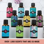 Sweet Gift Set of 6 Premium Grade Fragrance Oils - Bubble Gum, Orange Creamsicle, Peaches & Cream, Blue Cotton Candy, Oatmeal Cookie Dough, Chocolate - 10Ml - Scented Oils - Image 3