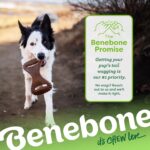 Benebone Dental Durable Dog Chew Toy for Aggressive Chewers, Real Peanut, Made in USA, Small - Image 6