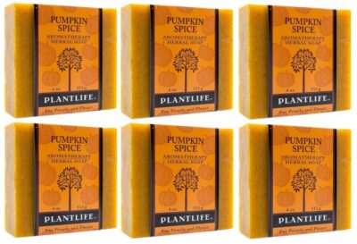 Plantlife Pumpkin Spice 6-pack Bar Soap - Moisturizing and Soothing Soap for Your Skin - Hand Crafted Using Plant-Based Ingredients - Made in California 4 oz Bar