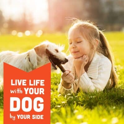 Cloud Star Corp, Wag More Bark Less Soft & Chewy Grain Free Peanut Butter & Apples Dog Treats - Image 6