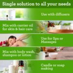 GuruNanda Tea Tree Essential Oil (0.5 Fl Oz) - 100% Pure, Natural and Undiluted Essential Oil for Diffusers - Perfect for Aromatherapy, Massages & DIY Recipes - Helps in Skin and Hair Care - Image 5