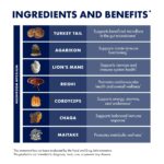 Host Defense MyCommunity Capsules - 17 Species Blend Mushroom Supplement for Immune Support - Herbal Aid with Lion's Mane, Reishi. Chaga, Cordyceps, Turkey Tail & More - 120 Capsules (60 Servings)* - Image 4