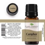 Plant Therapy White Camphor Essential Oil 10 mL (1/3 oz) 100% Pure, Undiluted, Therapeutic Grade - Image 6