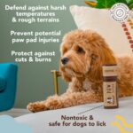 Natural Dog Company PawTection Balm Stick for Dogs (2oz) | Veterinarian-Approved and All-Natural Dog Paw Balm and Moisturizer | Nourishing Dog Paw Protector for Rough Terrain and Harsh Temperatures - Image 3