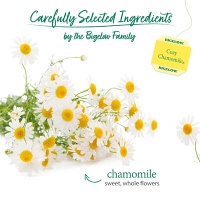 Bigelow Cozy Chamomile Herbal Tea,Caffeine Free Tea with Chamomile Flowers, 100 Count Box (Pack of 1) - Image 3