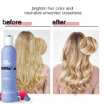 Milk_shake Silver Shine Purple Shampoo for Blonde Hair - Blonde Toner for Brassy Hair 100% SLES-Free, 10.1 Fl Oz - Image 6