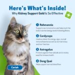 Pet Wellbeing Kidney Support Gold for Cats - Vet-Formulated - Supports Healthy Kidney Function in Cats - Natural Herbal Supplement 2 oz (59 ml) - Image 5