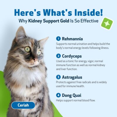 Pet Wellbeing Kidney Support Gold for Cats - Vet-Formulated - Supports Healthy Kidney Function in Cats - Natural Herbal Supplement 2 oz (59 ml) - Image 5