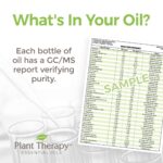 Plant Therapy Coffee Essential Oil 100% Pure, Undiluted, Natural Aromatherapy, Therapeutic Grade 10 mL (1/3 oz) - Image 3