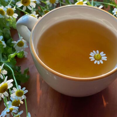 Bigelow Cozy Chamomile Herbal Tea,Caffeine Free Tea with Chamomile Flowers, 100 Count Box (Pack of 1) - Image 2