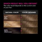 Garnier Hair Color Olia Ammonia-Free Brilliant Color Oil-Rich Permanent Hair Dye, 6.0 Light Brown, 1 Count (Packaging May Vary) - Image 5
