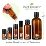 Plant Therapy Coffee Essential Oil 100% Pure, Undiluted, Natural Aromatherapy, Therapeutic Grade 10 mL (1/3 oz) - Image 7
