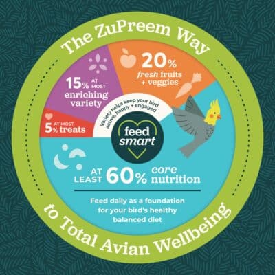 ZuPreem Pure Fun Bird Food for Parrots & Conures, 2 lb - Blend of Fruit, FruitBlend Pellets, Vegetables, Nuts for African Greys, Senegals, Amazons, Eclectus, Small Cockatoos - Image 6