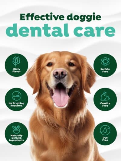 TropiClean Clean Teeth Gel for Dogs | Dog Dental Care | Dog Toothpaste | Breath Freshener | Easy Teeth Cleaning | Made in The USA | 2 oz. - Image 4
