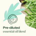 Plant Therapy KidSafe Sniffle Stopper Essential Oil Blend Pre-Diluted Roll-On 10 mL (1/3 oz) Respiratory Support Blend 100% Pure, Natural Aromatherapy, Therapeutic Grade - Image 6