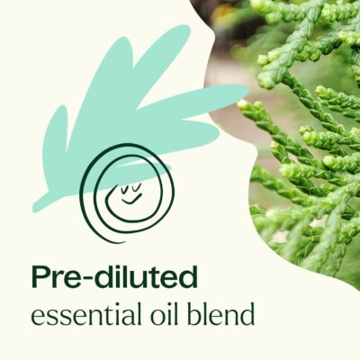 Plant Therapy KidSafe Sniffle Stopper Essential Oil Blend Pre-Diluted Roll-On 10 mL (1/3 oz) Respiratory Support Blend 100% Pure, Natural Aromatherapy, Therapeutic Grade - Image 6