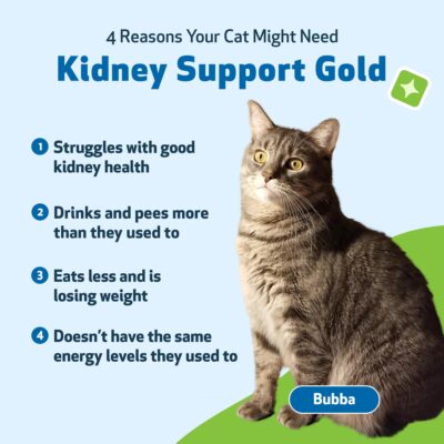 Pet Wellbeing Kidney Support Gold for Cats - Vet-Formulated - Supports Healthy Kidney Function in Cats - Natural Herbal Supplement 2 oz (59 ml) - Image 2
