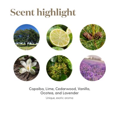 Stress Away 15 ml by Young Living Essential Oils - Image 5
