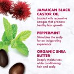 Shea Moisture Jamaican Black Castor Oil Clarifying Shampoo & Conditioner - Strengthen & Restore Sulfate-Free Shampoo & Conditioner Set with Shea Butter, ACV, and Peppermint Oil for Hair (2 Piece Set) - Image 7